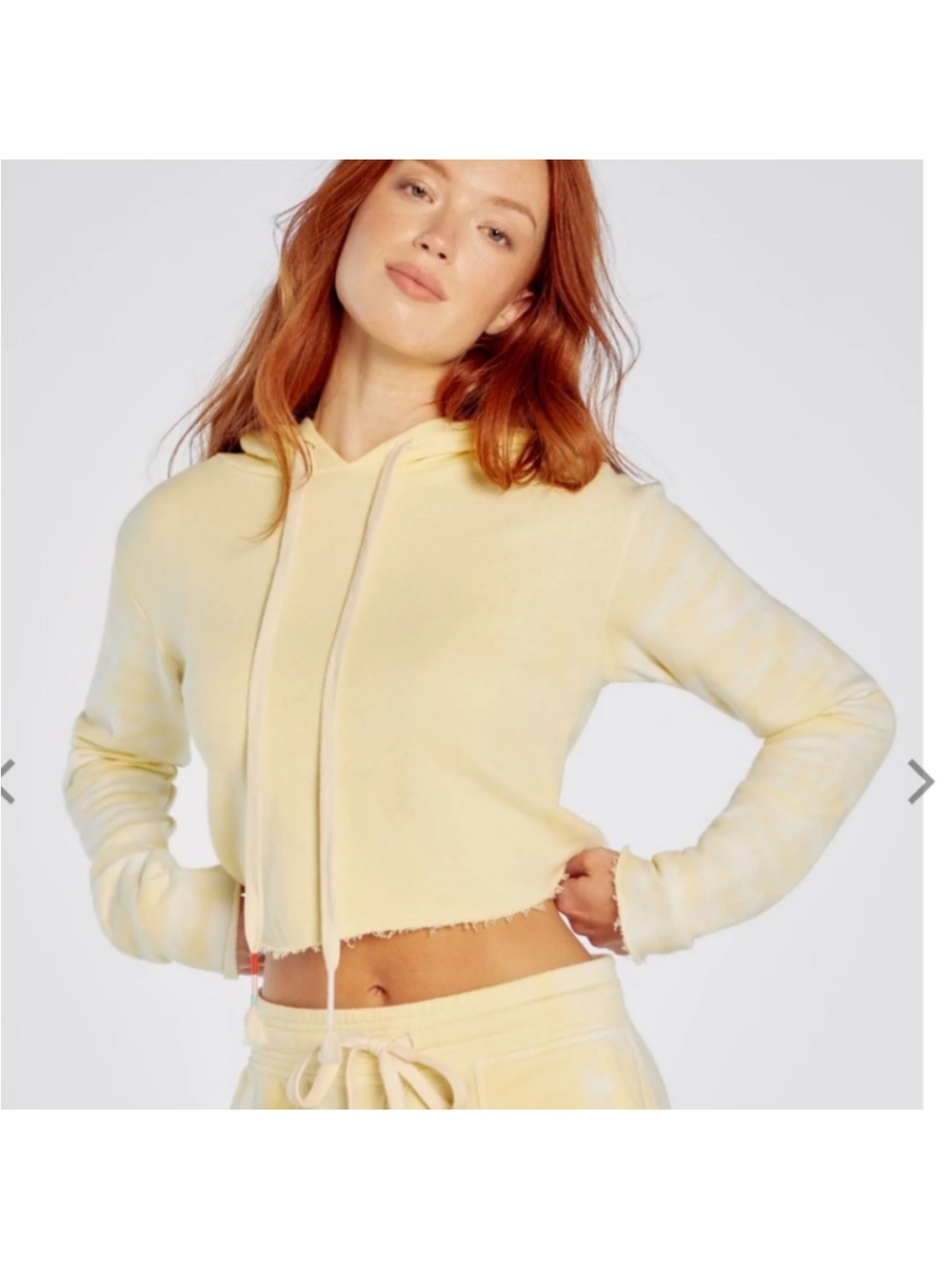 Wild fox broken dreams cropped hoodie small